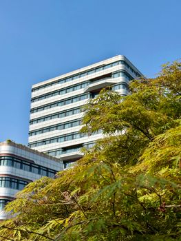 Contemporary architecture and vibrant greenery under a clear blue sky in Shanghai, China.