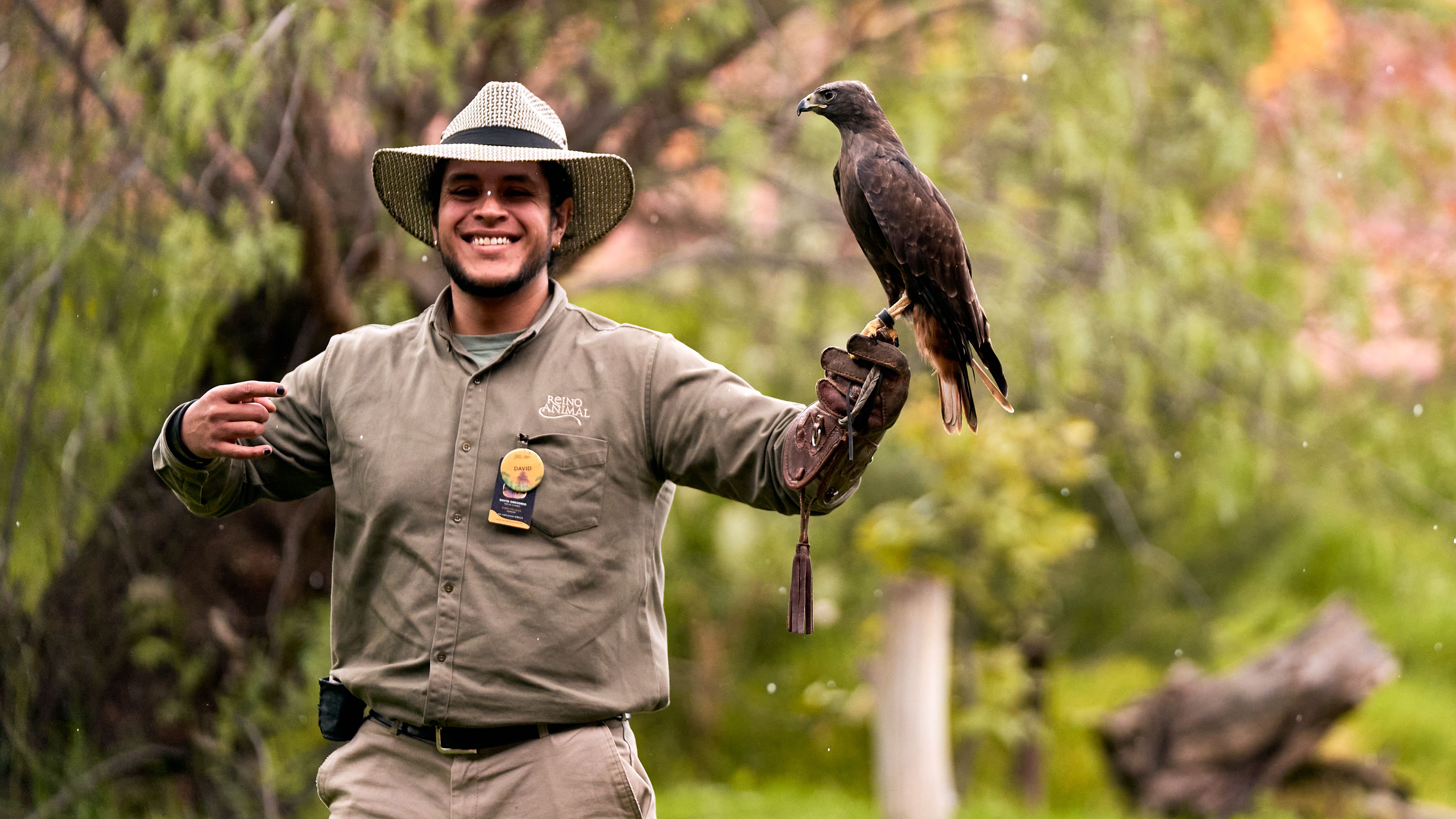 Smiling Falconer with Hawk Outdoors · Free Stock Photo