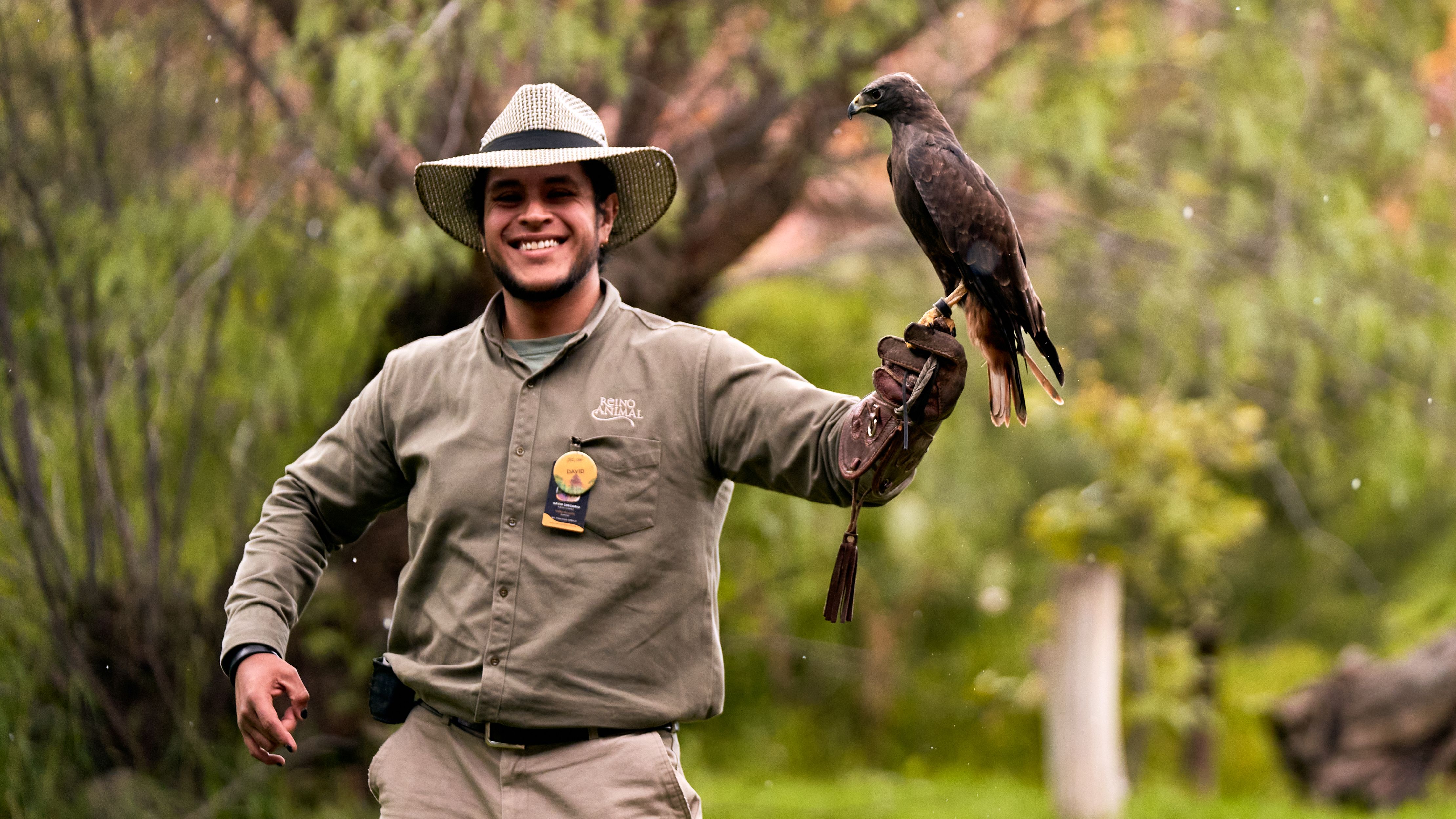 Falconer with Hawk Outdoors in Nature · Free Stock Photo