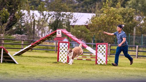 Free A man and his dog navigate an outdoor agility training course with enthusiasm and energy. Stock Photo