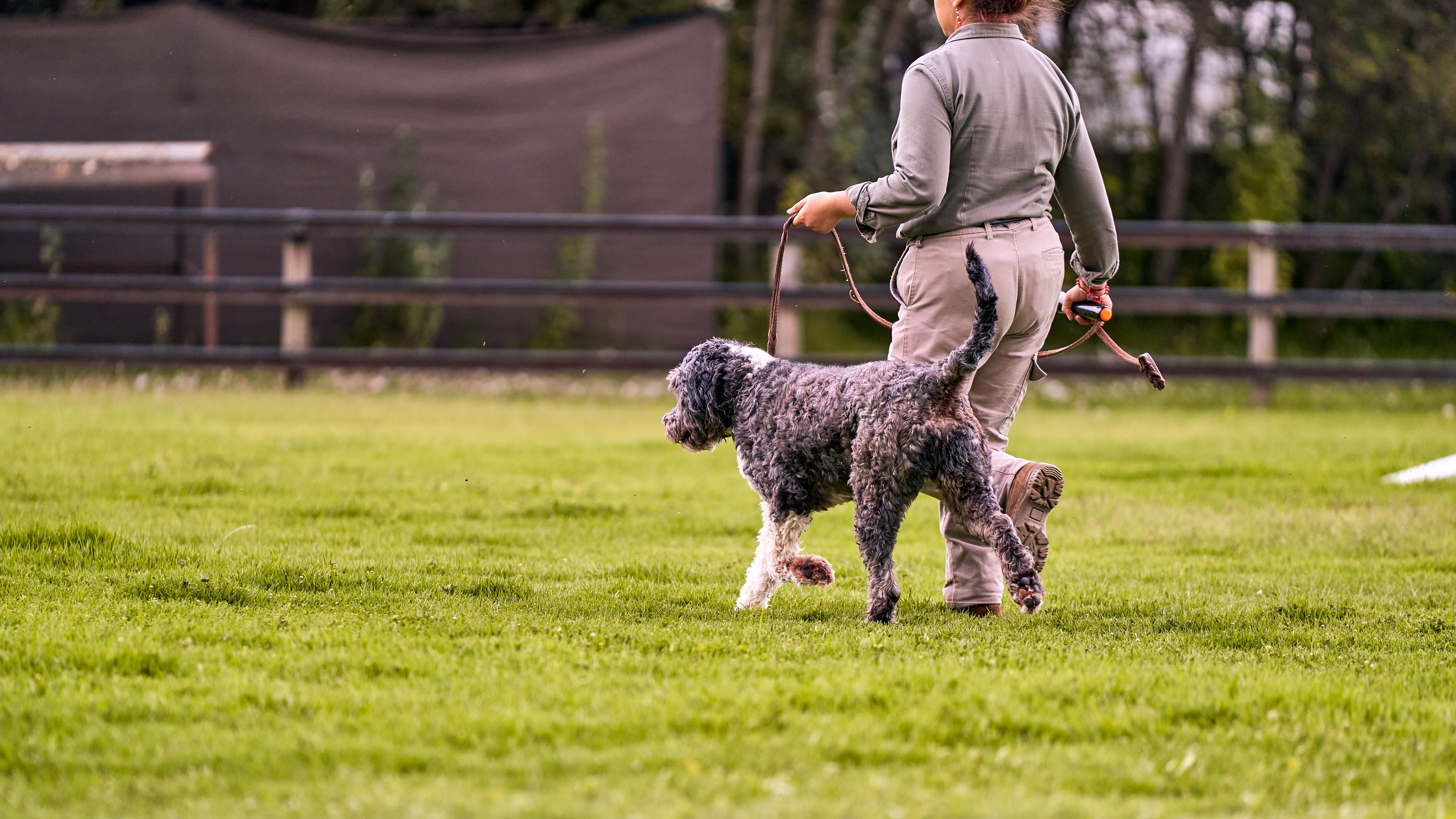Does Pet Insurance Cover Routine Vaccinations in 2026?