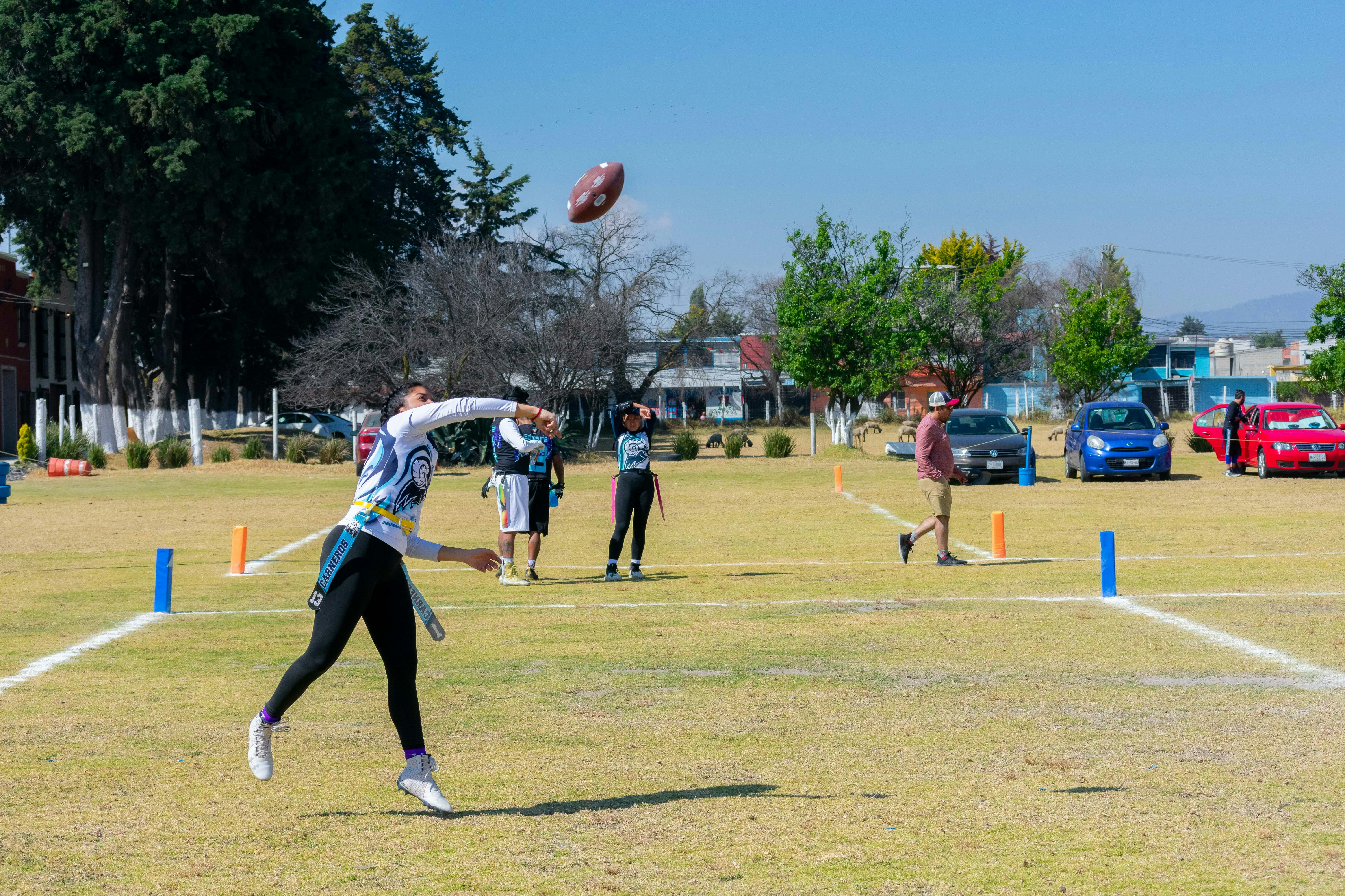 fantasy sports, fantasy football, draft strategies, league management, sports betting — Photo by Erick Ortega on Pexels