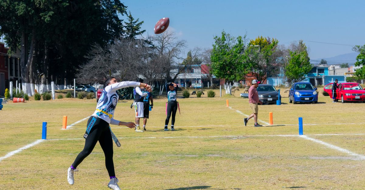 Flag Football, Volleyball, Softball: Carrollton's Fall Adult Sports Leagues Are Open for Registration