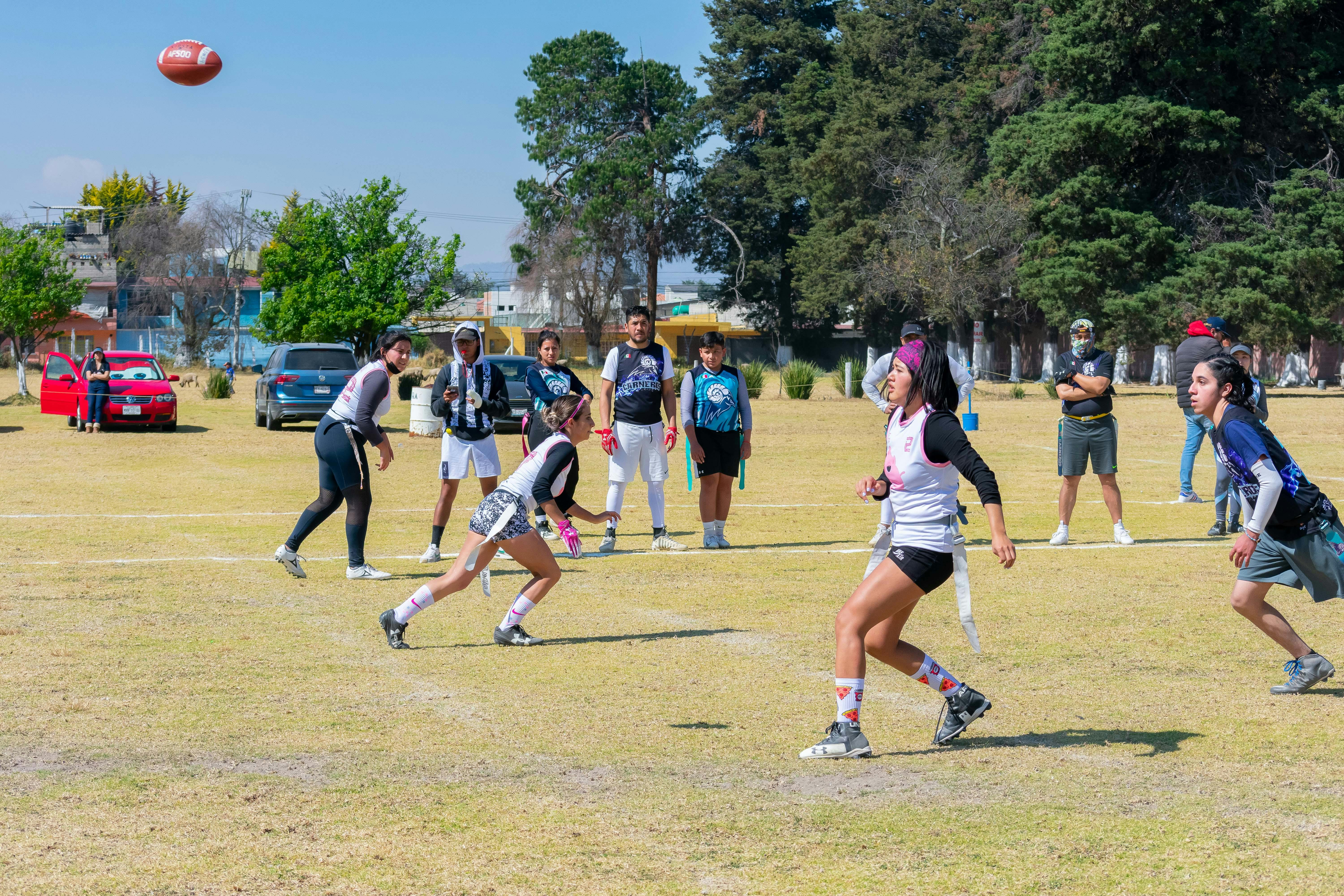 fantasy sports, fantasy football, draft strategies, league management, sports betting — Photo by Erick Ortega on Pexels