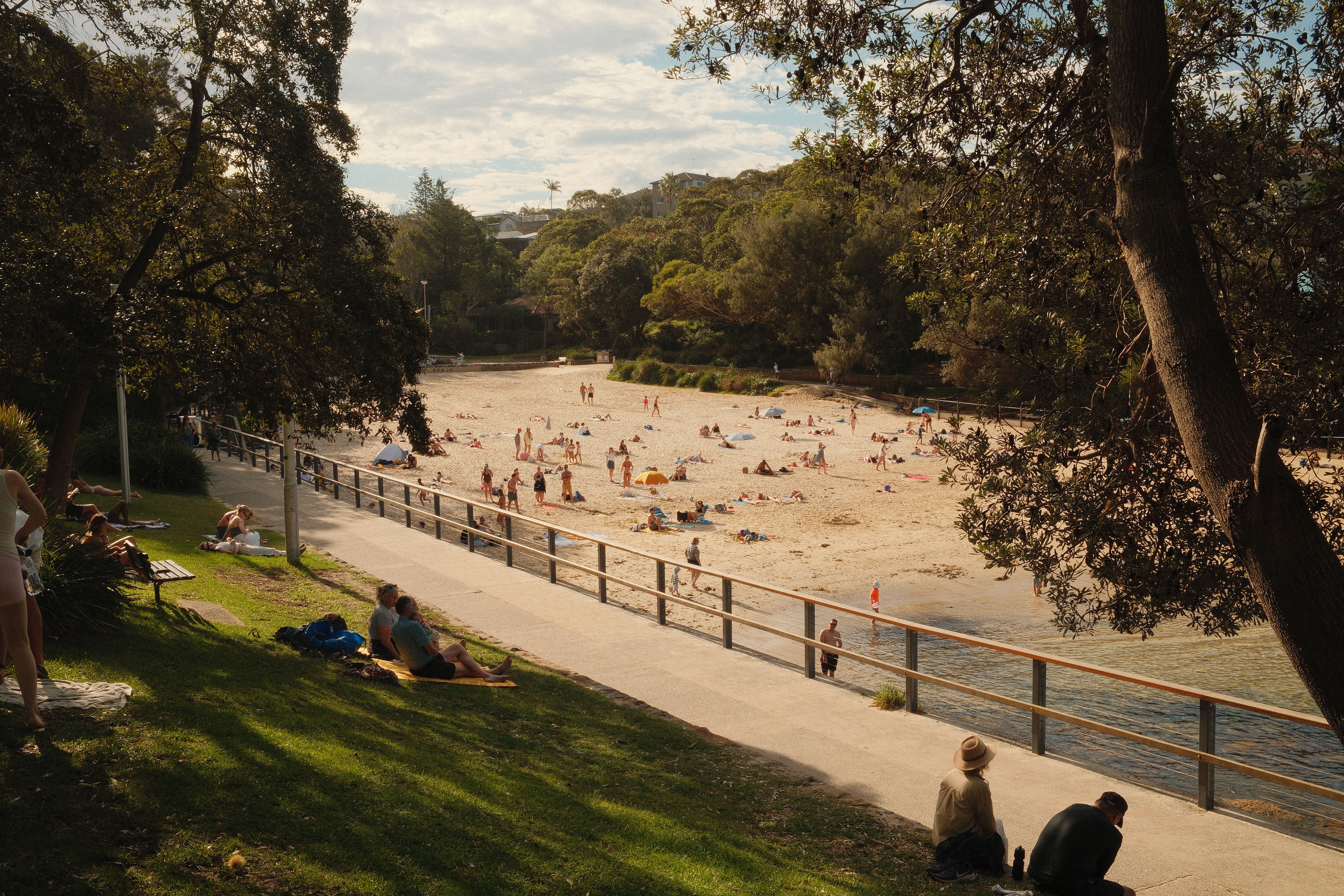 Sydney Parks and Gardens: A Local's Guide to the Best Green Spaces