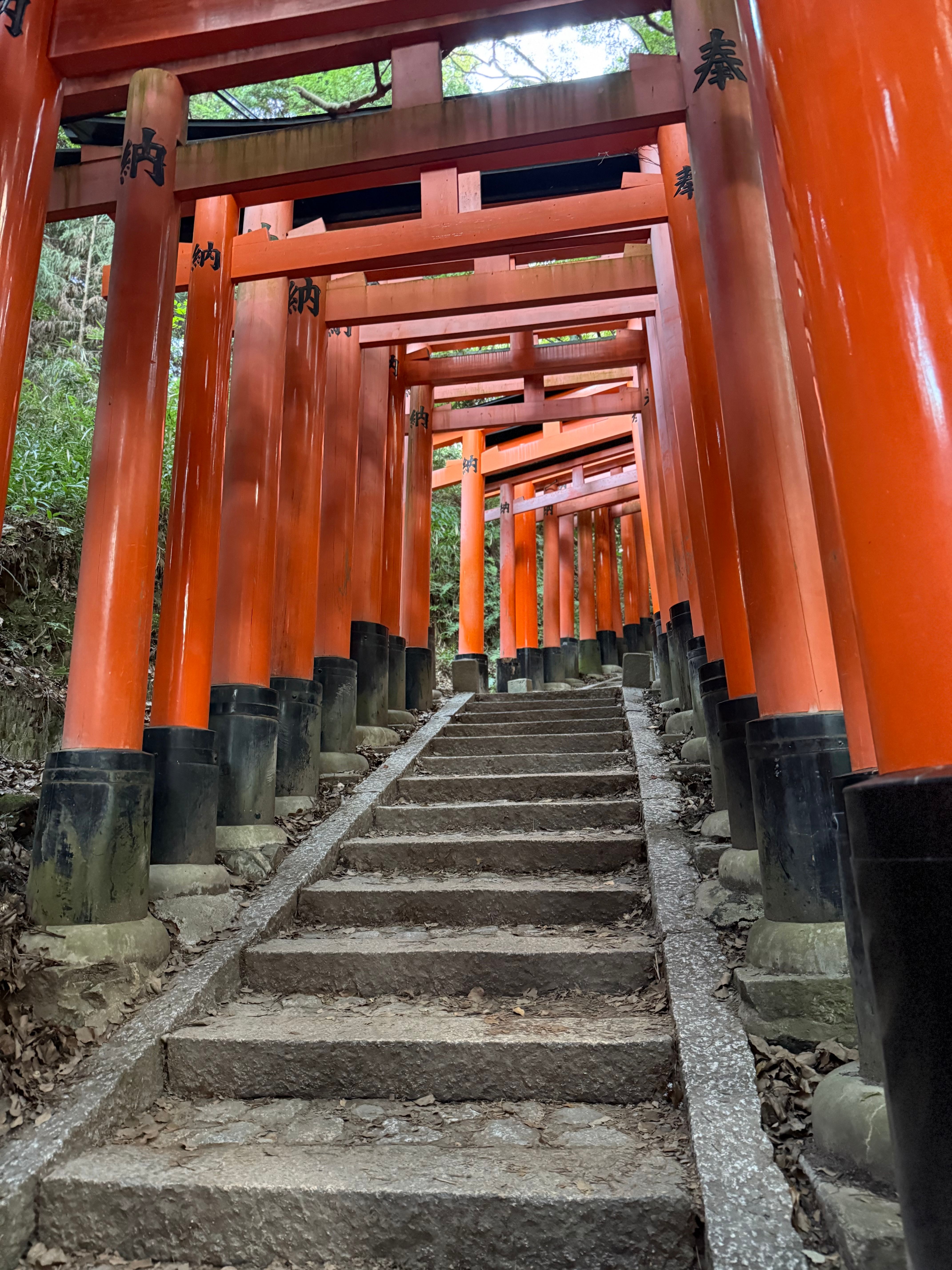 Red Torii Gates on Stone Staircase in Fukuoka · Free Stock Photo