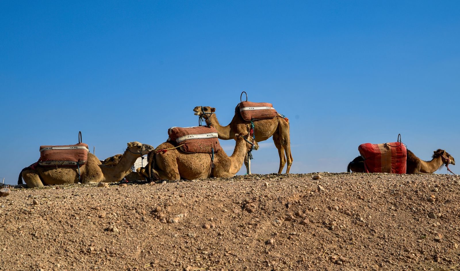 3-Day Desert Tour from Fes to Marrakech