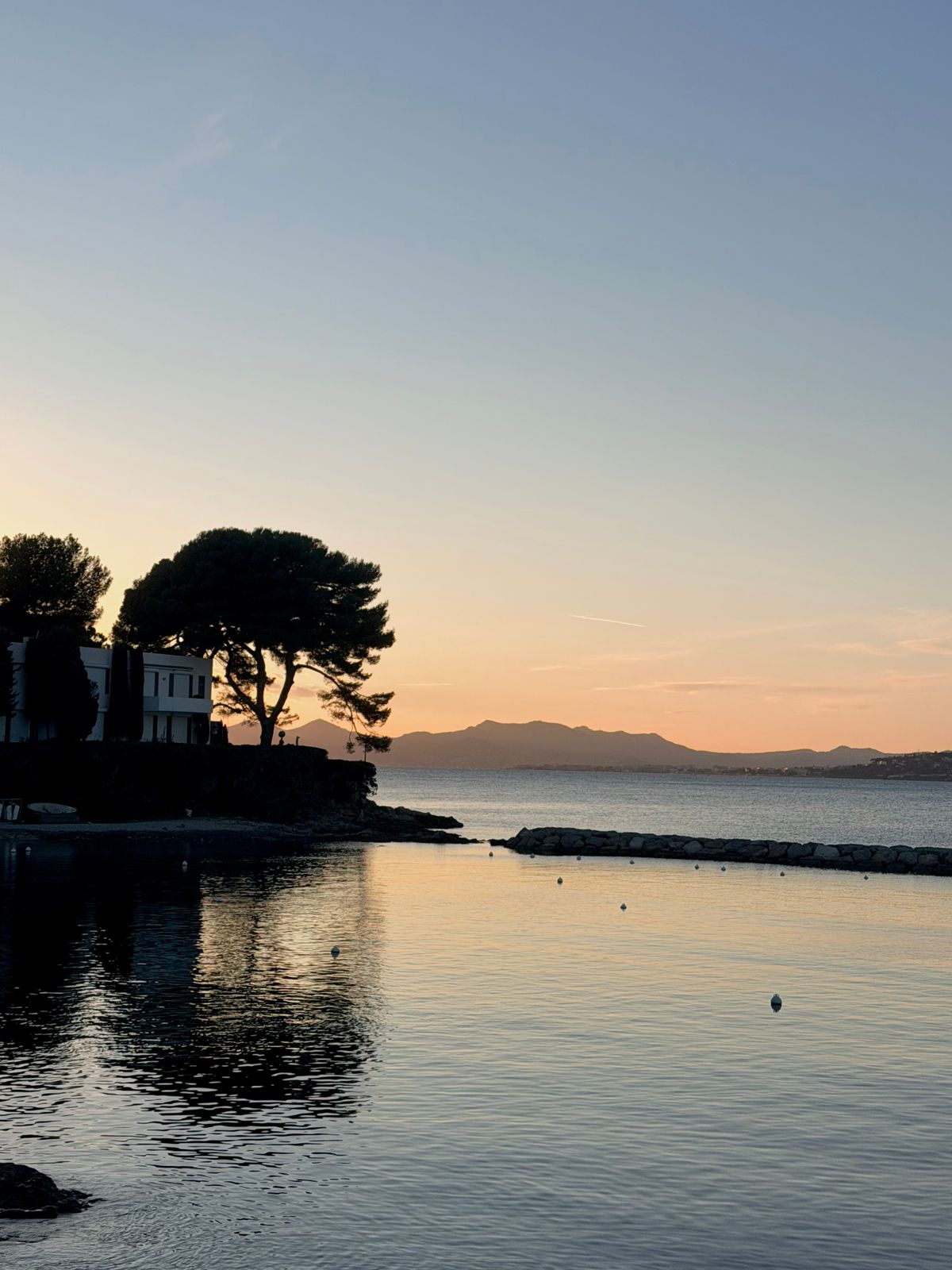 A quiet cove with umbrella pines at sunset near Cap d'Antibes
