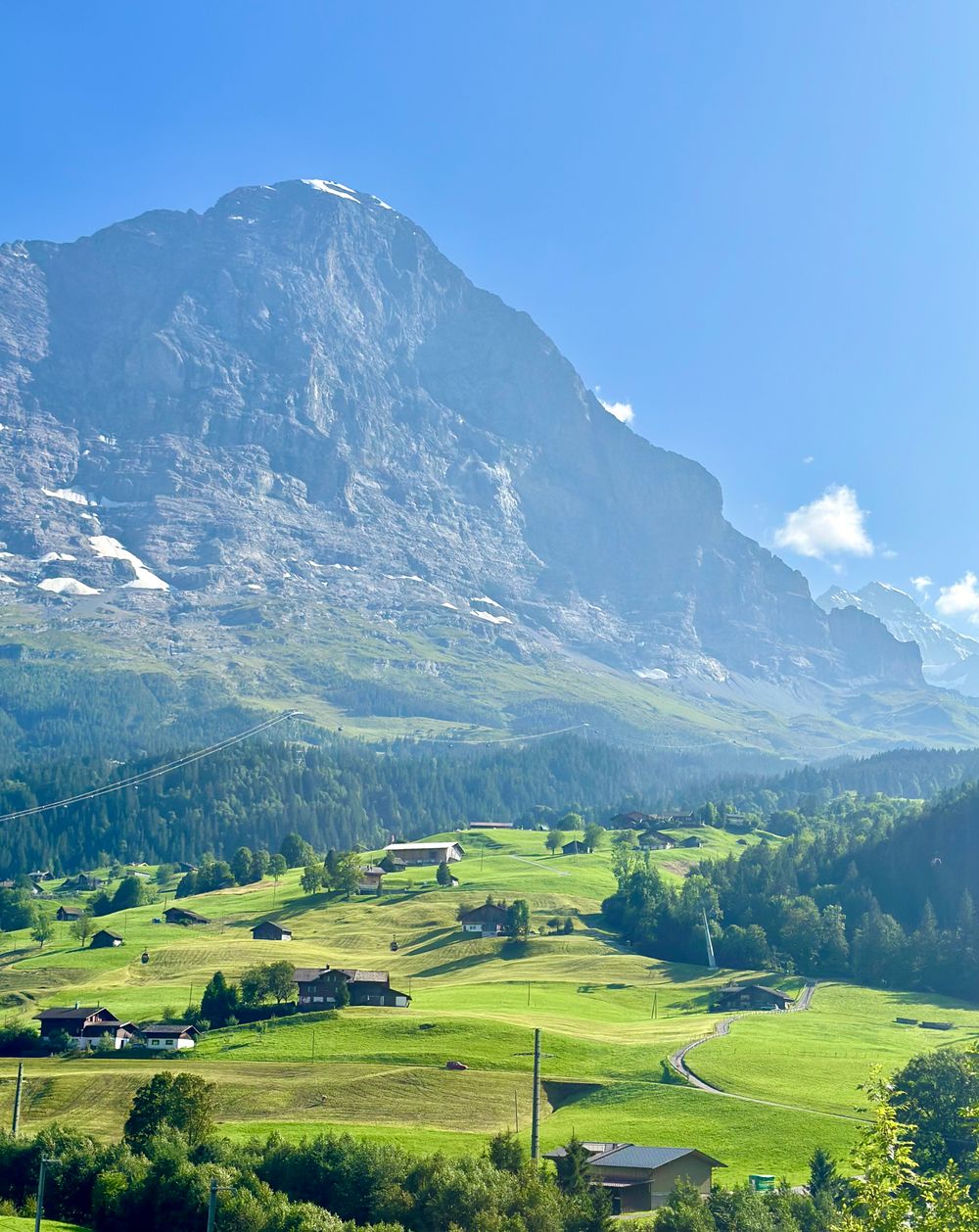 Valea Grindelwald vara, cu pajiști verzi și case alpine