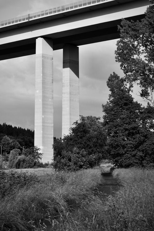 Free Black and white photograph of a bridge towering over a lush landscape with a stream. Stock Photo