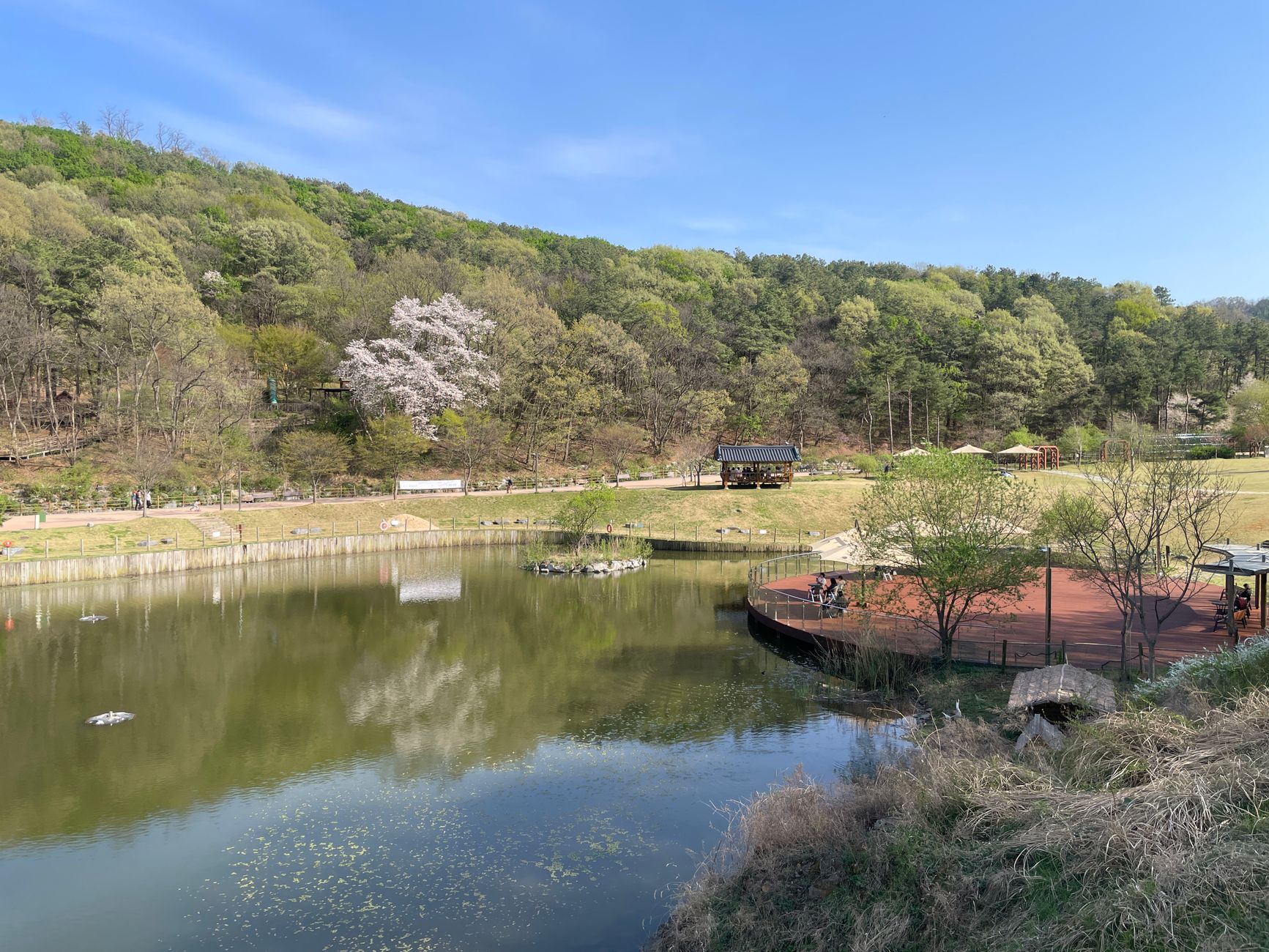 gyeonggi do countryside spring landscape