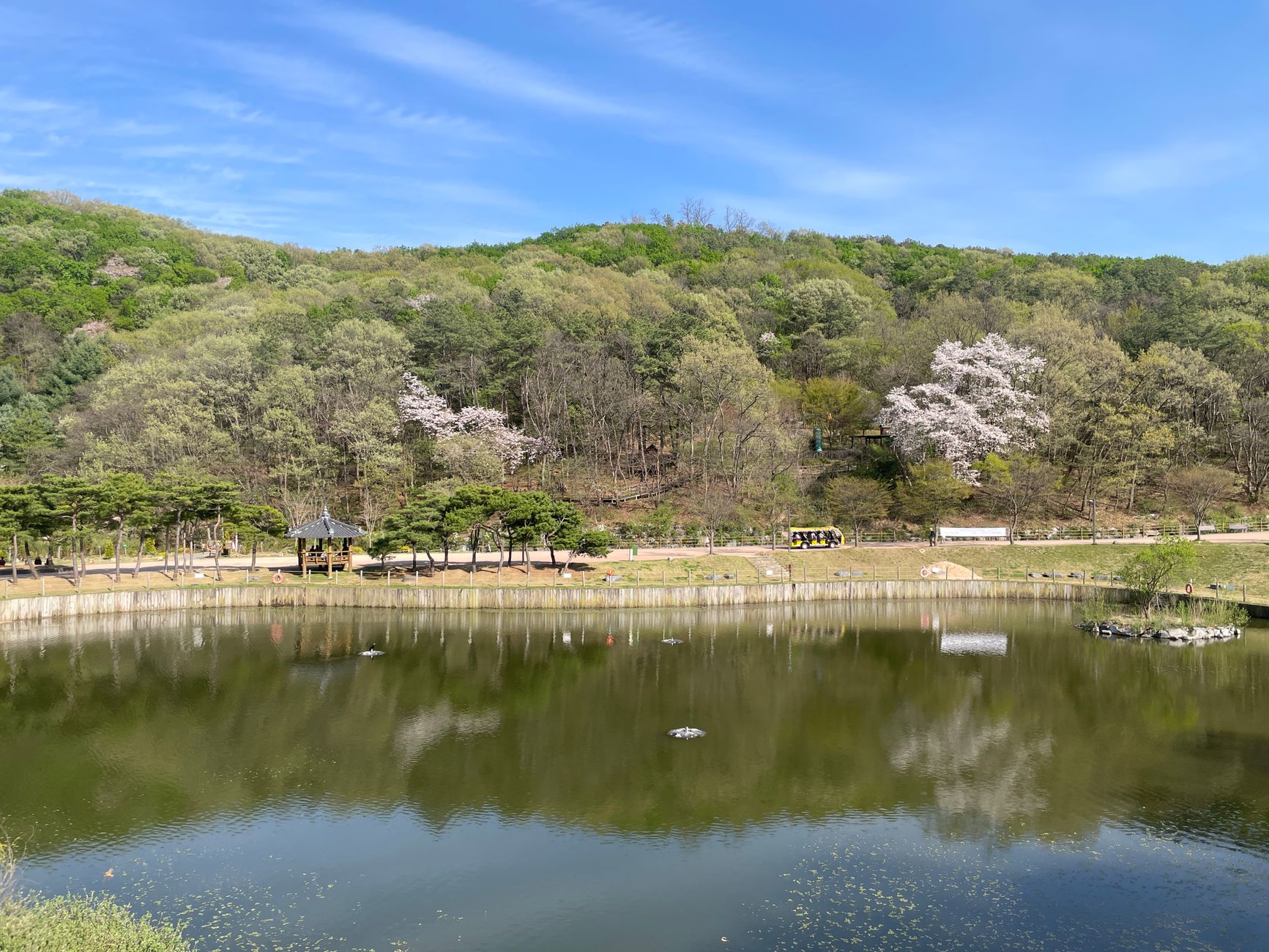 gyeonggi province children park spring family