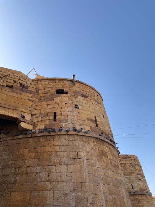 Free View of Jaisalmer Fort's stone walls adorned with perched pigeons under a clear sky. Stock Photo