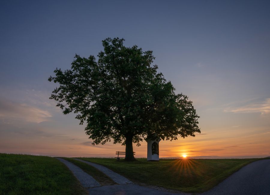 Serene sunset scene at Hochkogel, Austria, with a tree silhouette framing the setting sun.