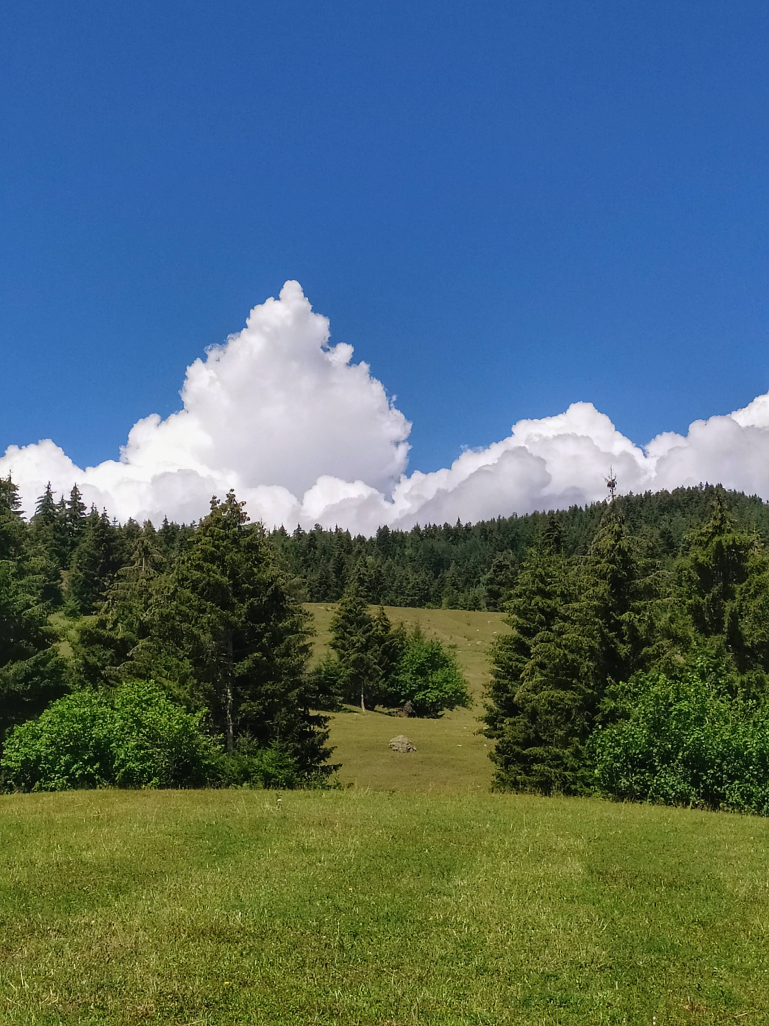 Serene Mountain Landscape with Lush Greenery · Free Stock Photo