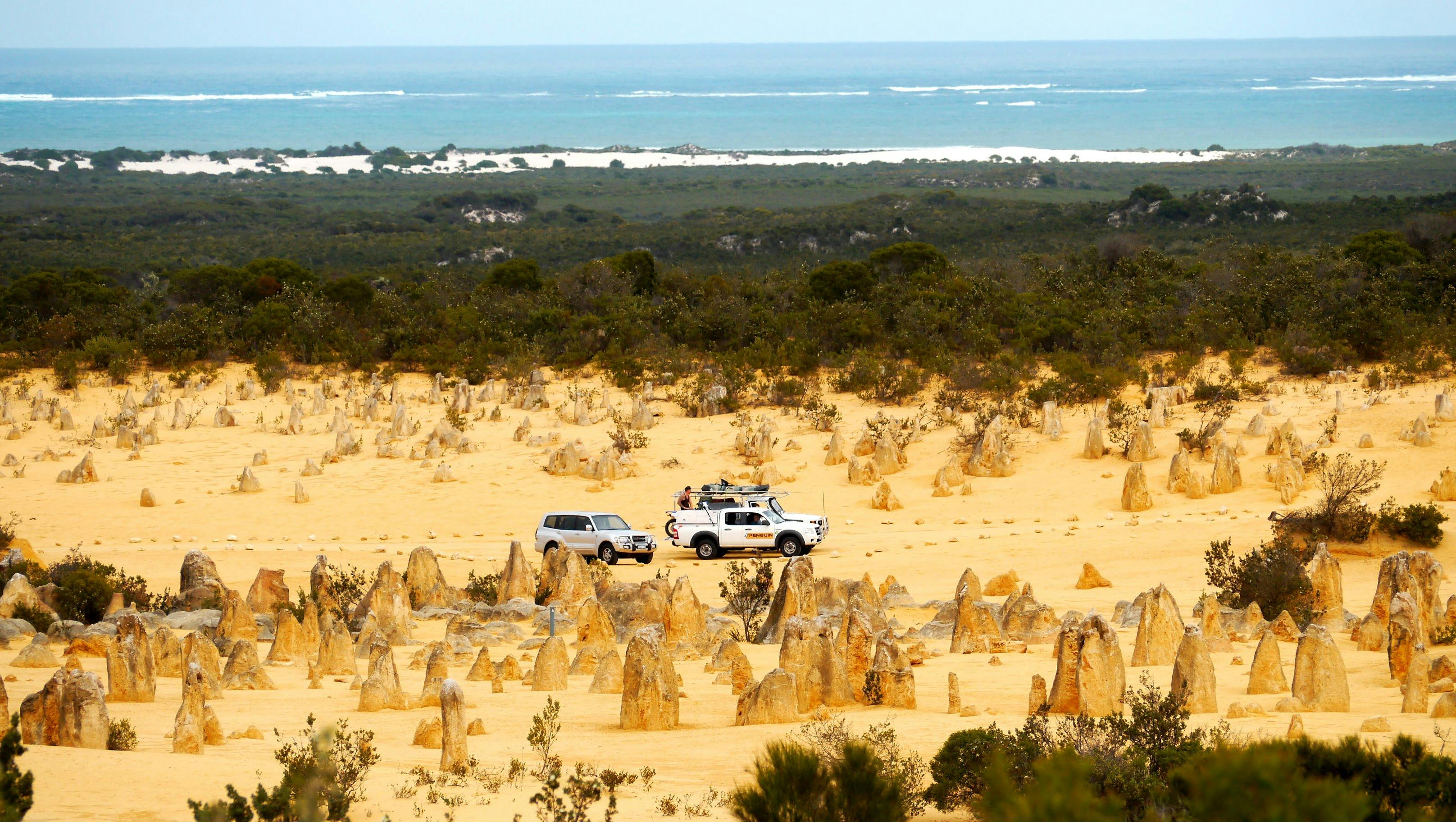 relationships australia victoria — Photo by Valen Yrk on Pexels