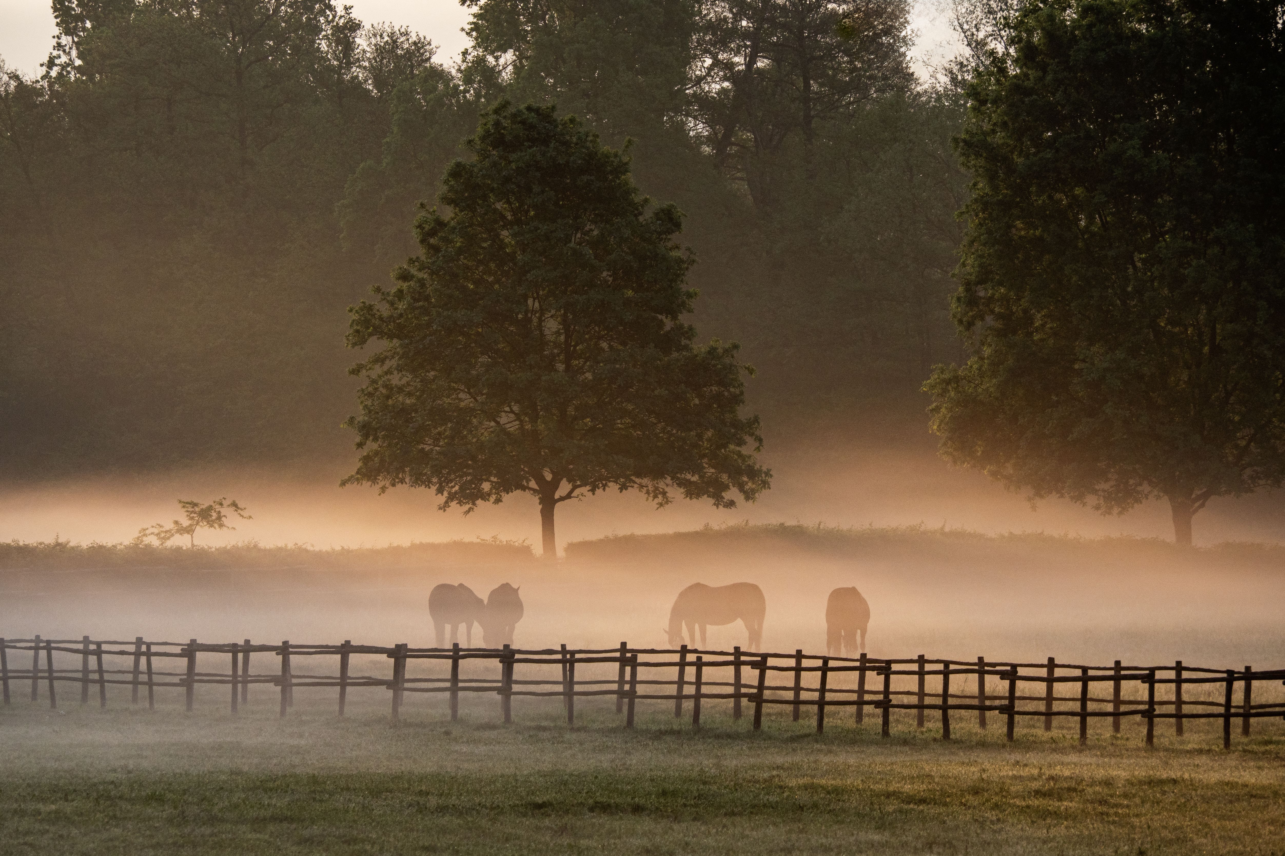 How to Enter Birthday Freebies in Lexington, Kentucky Without Scams