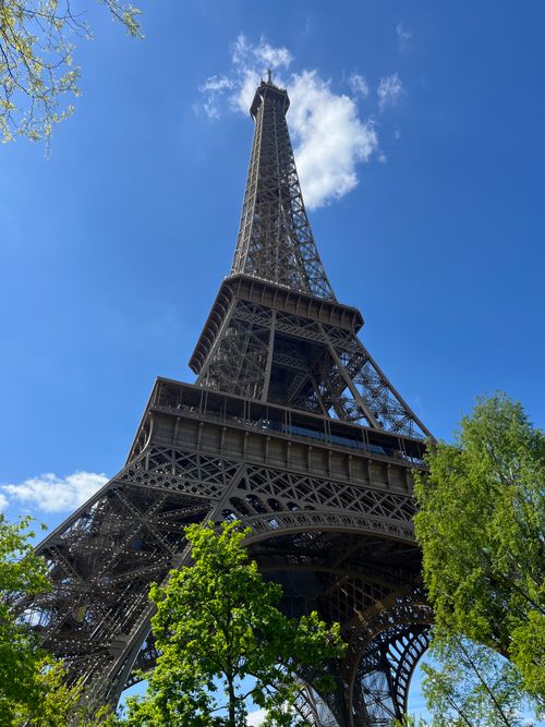 Free Low angle view of the Eiffel Tower in Paris framed by trees under a clear blue sky. Stock Photo