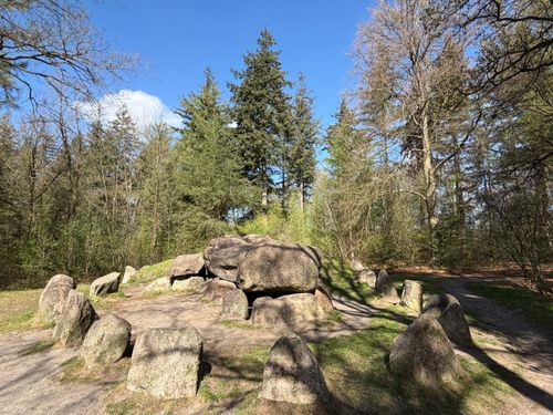 Free Scenic view of an ancient dolmen surrounded by lush forest in Drenthe, Netherlands. Stock Photo