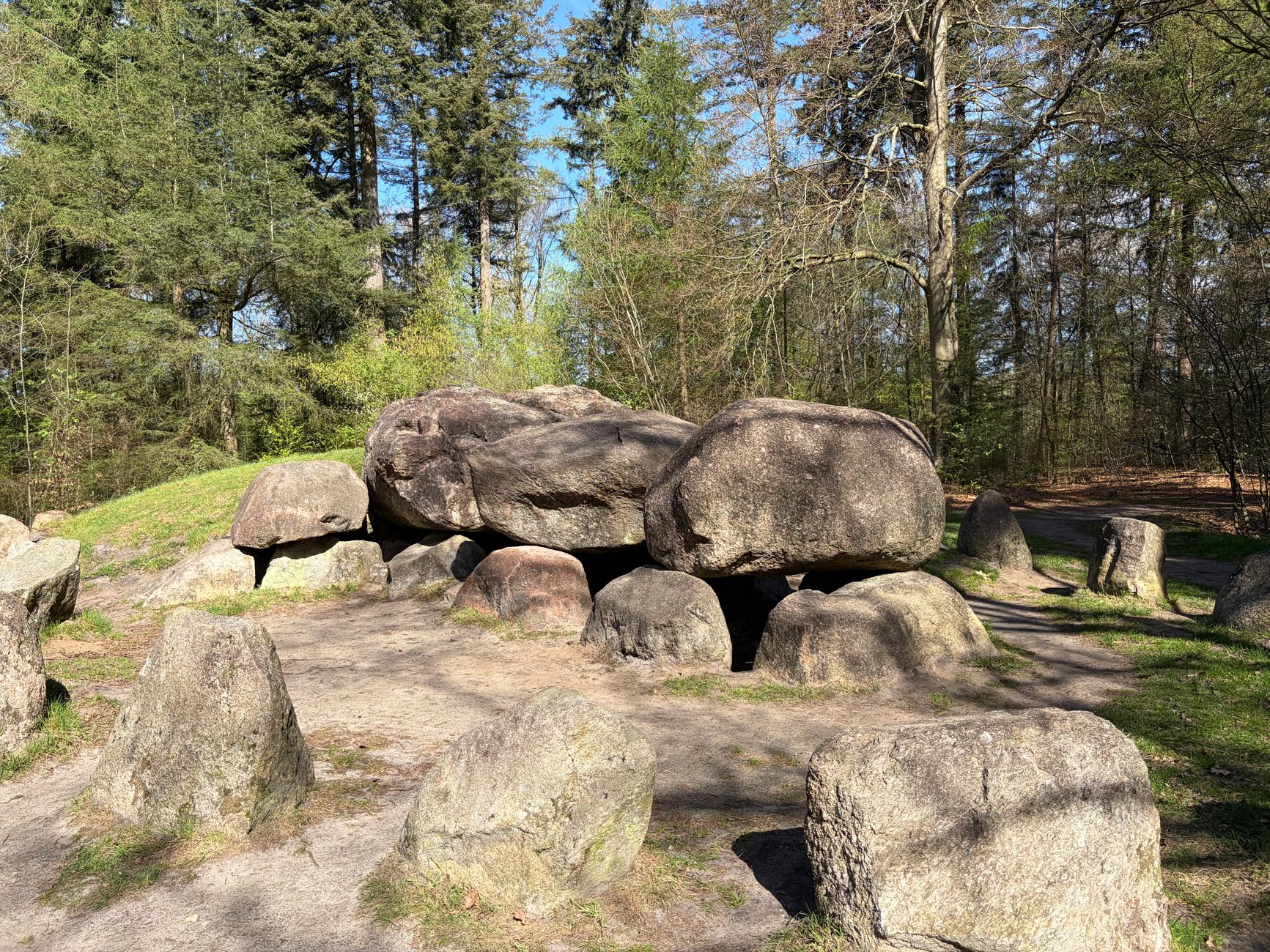Drentse voedselbossen groeien snel, maar zijn kwetsbaar