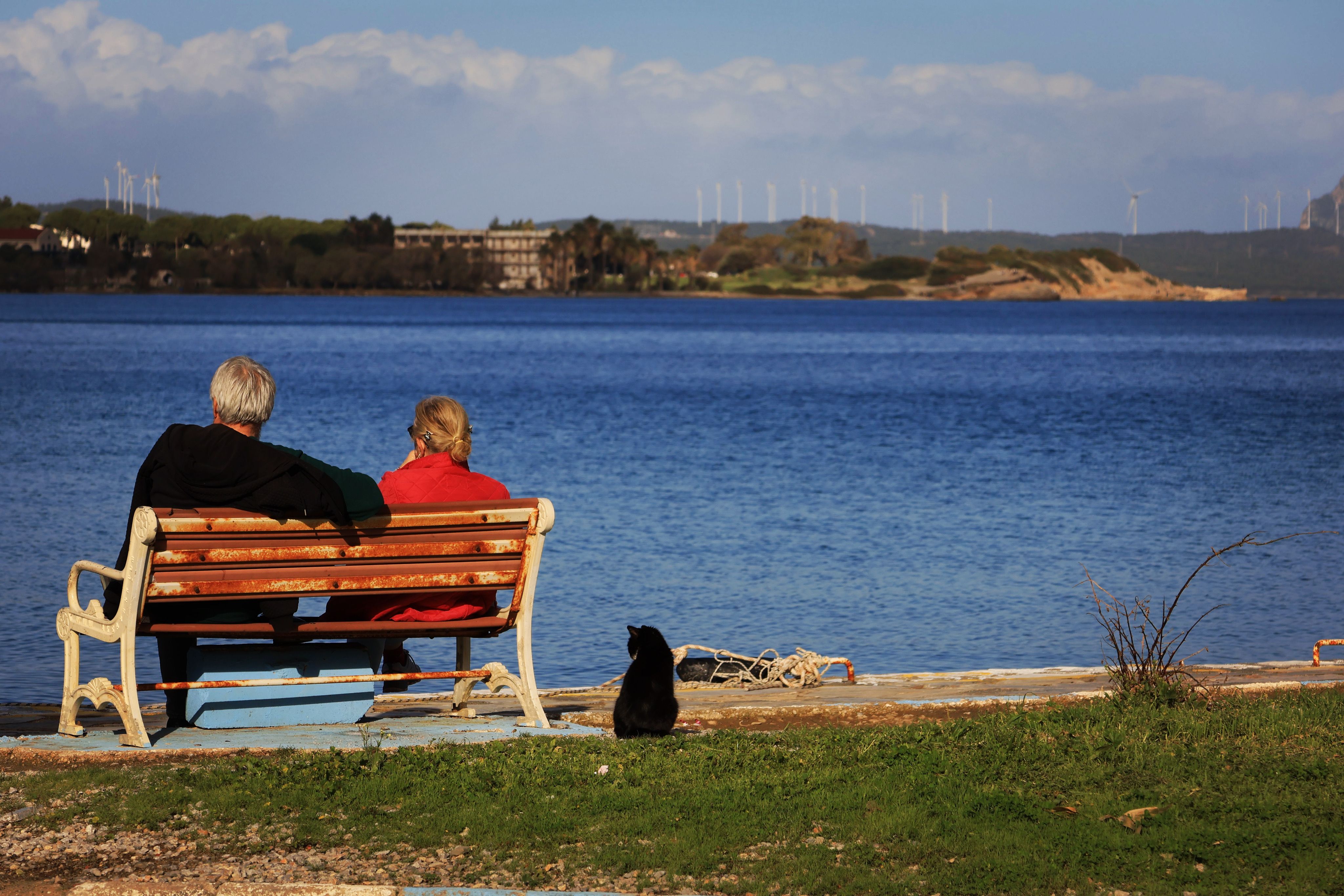 How Will AI Affect Financial Planning for Retirement? — Photo by Berrak EROGLU on Pexels