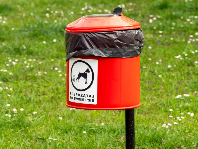 Professional using dog poop scooper to clean residential yard