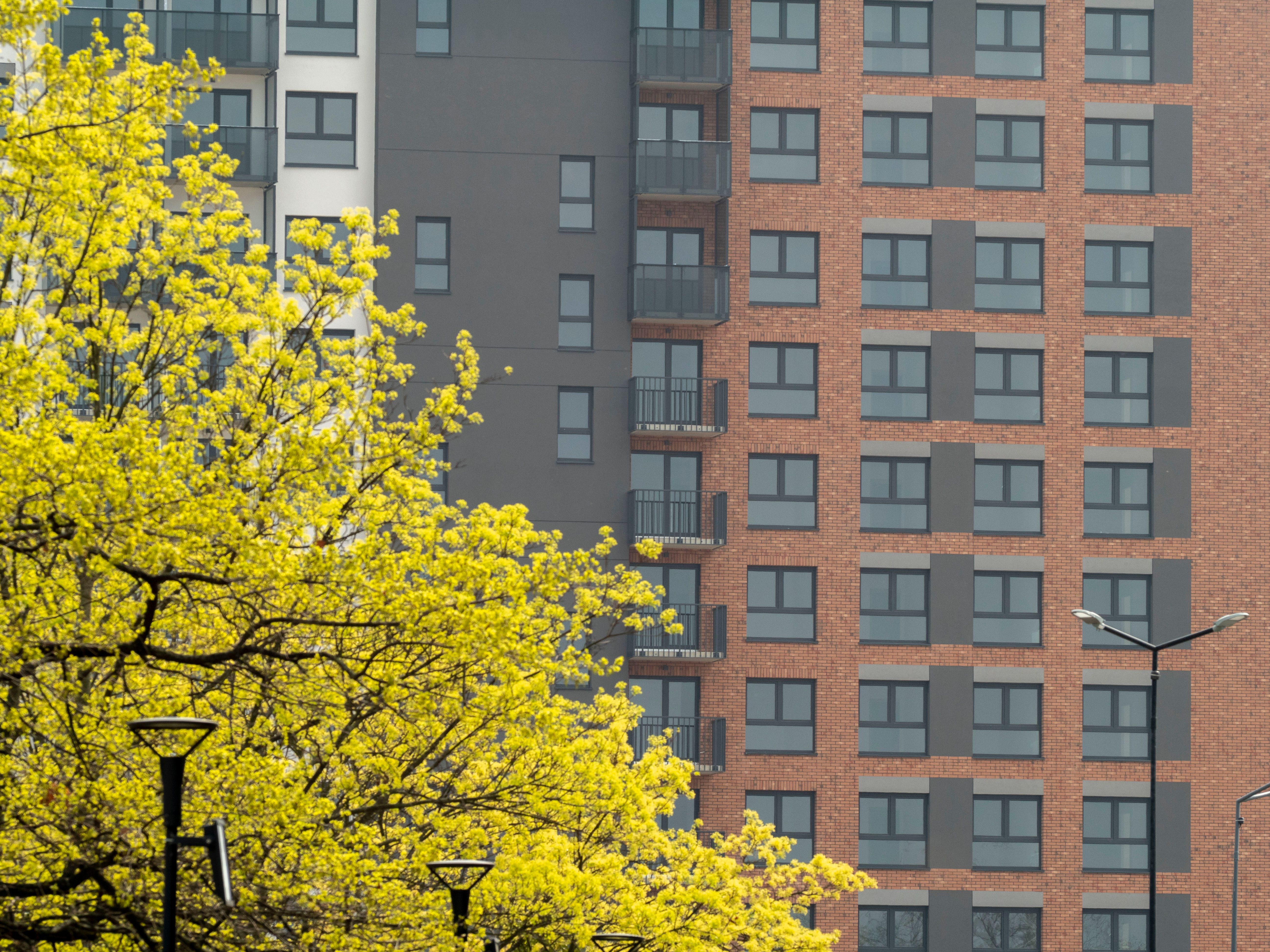 Explore factors influencing residents' green lifestyle: evidence from the Chinese General Social Survey data — Photo by SHOX 