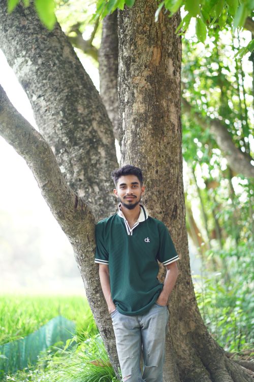 Free A young man stands by a tree in a sunlit outdoor park, exuding calmness. Stock Photo