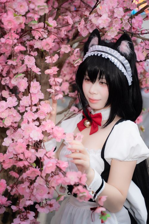 Free Cosplayer in cat maid costume among vibrant cherry blossoms. Stock Photo
