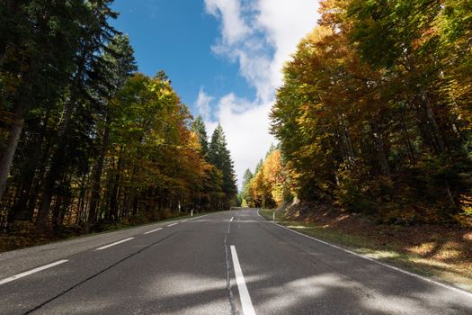 Capture the serene beauty of a scenic road surrounded by vibrant autumn foliage under a clear blue sky.