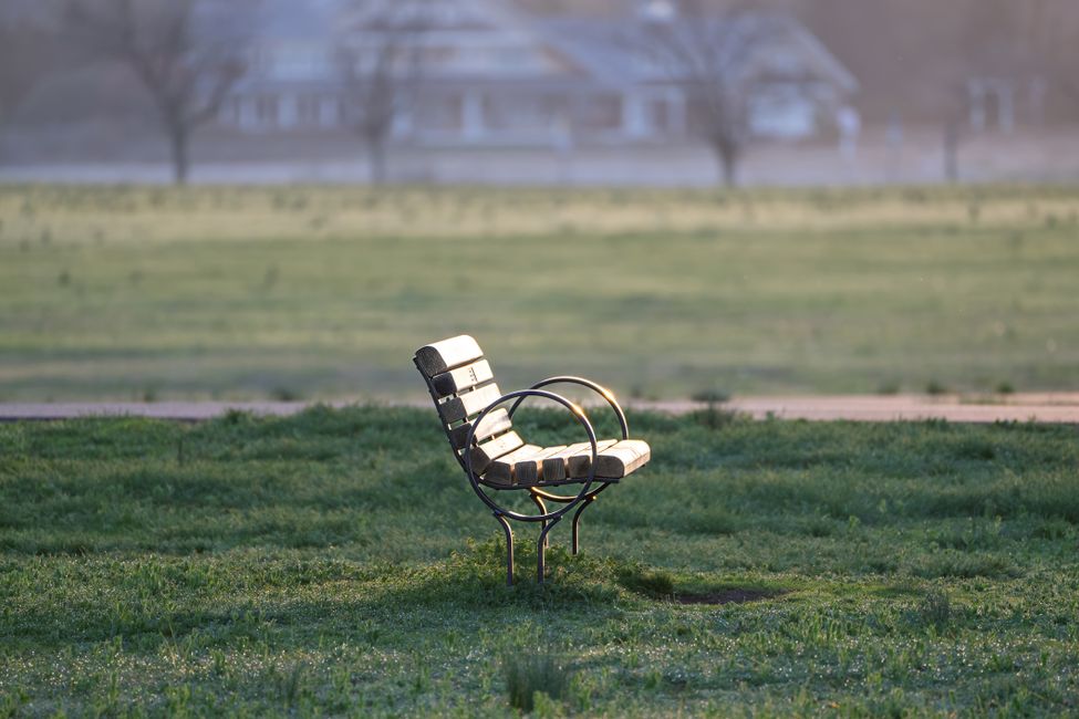 empty park bench morning