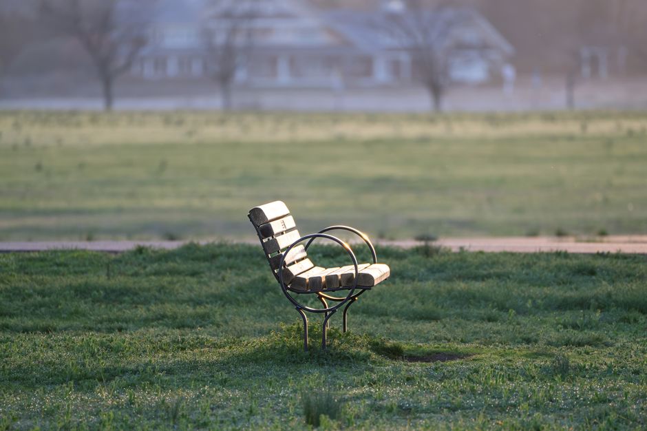 A solitary park bench bathed in soft morning light in an open field, creating a tranquil and peaceful atmosphere.