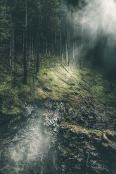 A captivating forest scene with dramatic sun rays filtering through the trees, casting light on a rocky landscape.