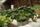 hydroponics
