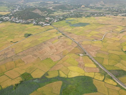 Free Aerial shot of lush green and yellow rice paddies in Vietnam, showcasing agricultural beauty. Stock Photo