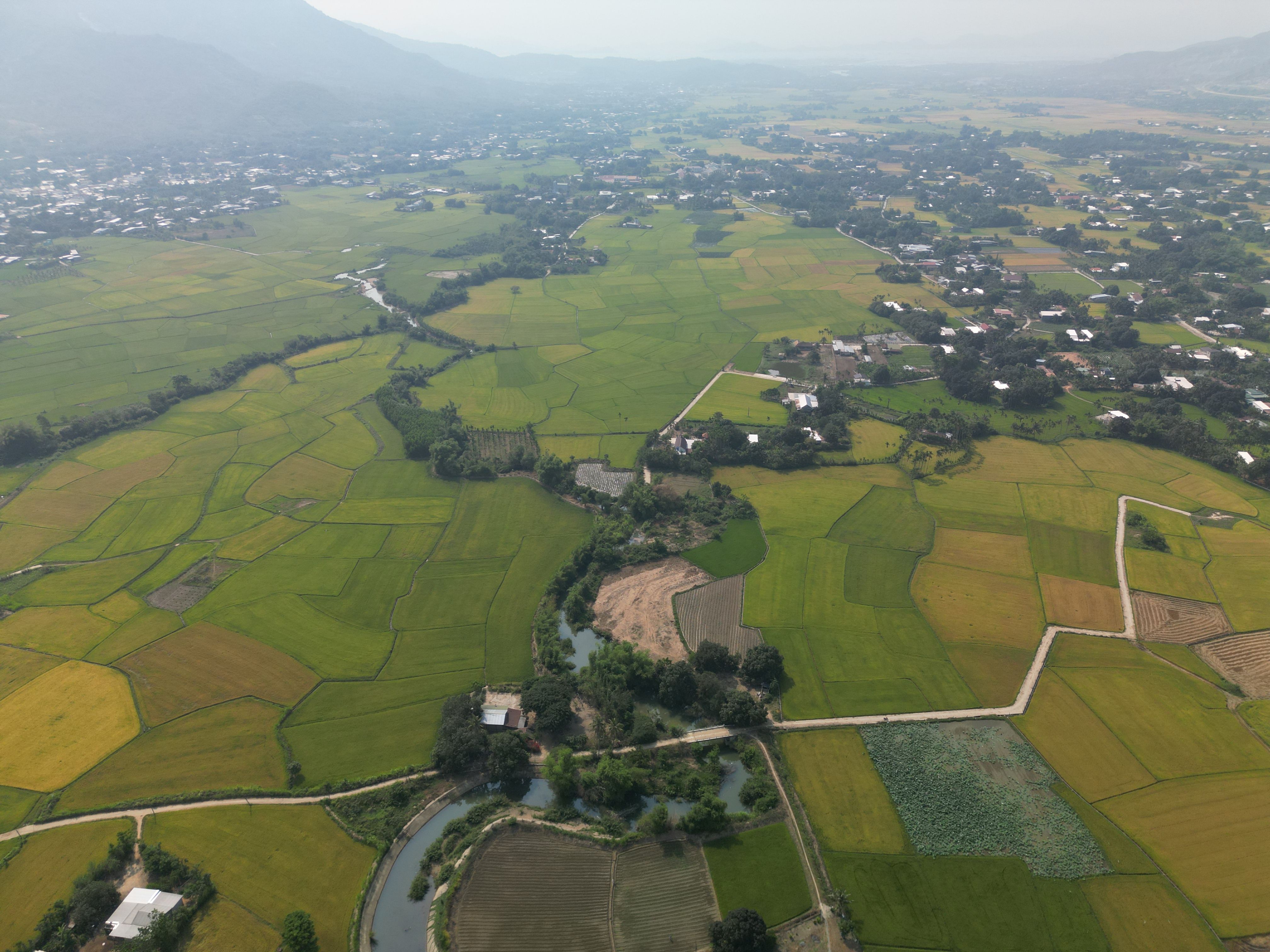 Aerial View of Vietnamese Rice Fields in Summer · Free Stock Photo