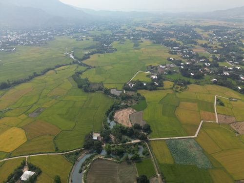 Free Aerial perspective of lush green rice fields in Nha Trang, Vietnam during summer. Stock Photo