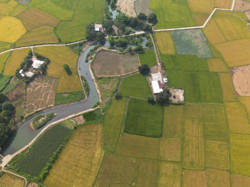 Free Aerial shot of vibrant rice fields in Ninh Thuan, Vietnam, showcasing irrigation systems and farming patterns. Stock Photo