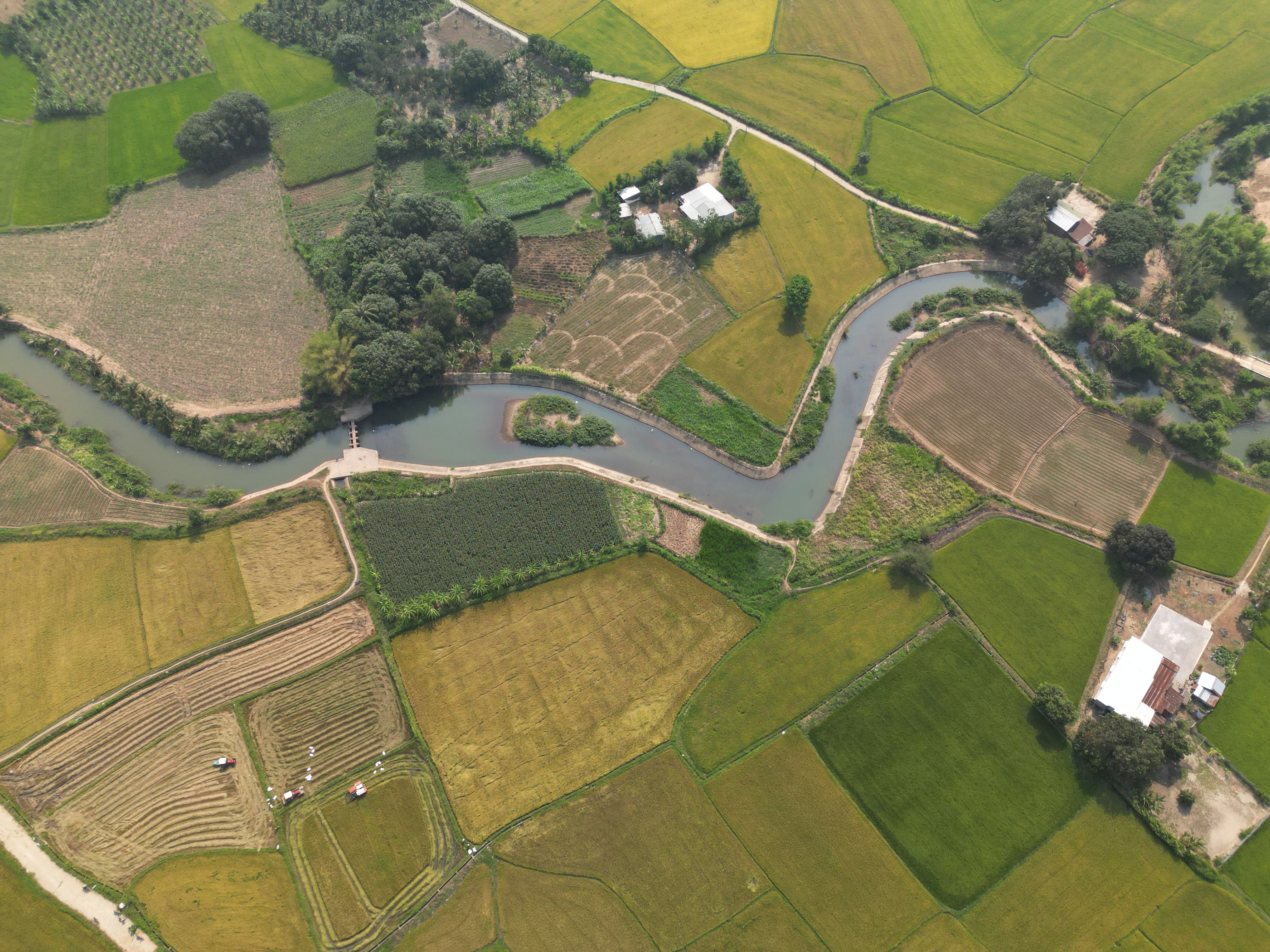 Lush Aerial View of Vietnamese Rice Fields · Free Stock Photo