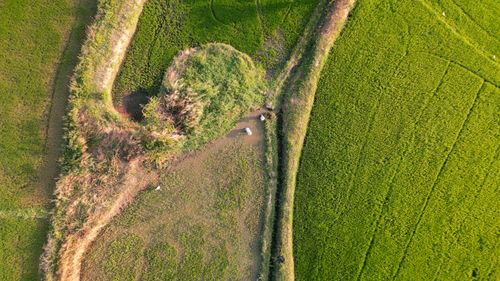 Free Aerial shot of vibrant green farmland with winding paths, captured during daylight. Stock Photo