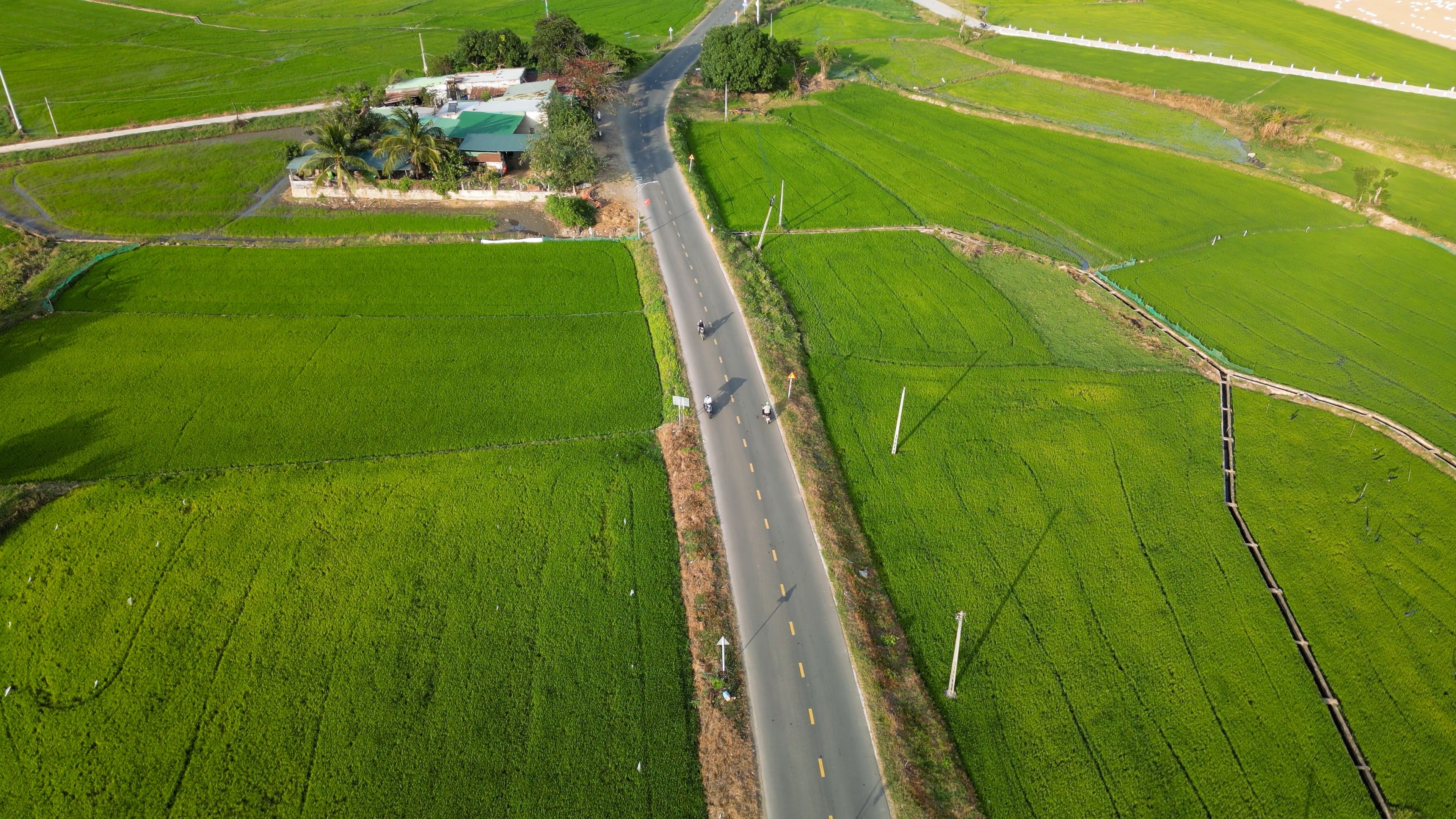 Aerial shot of a rural road cutting through lush green fields on a sunny day.