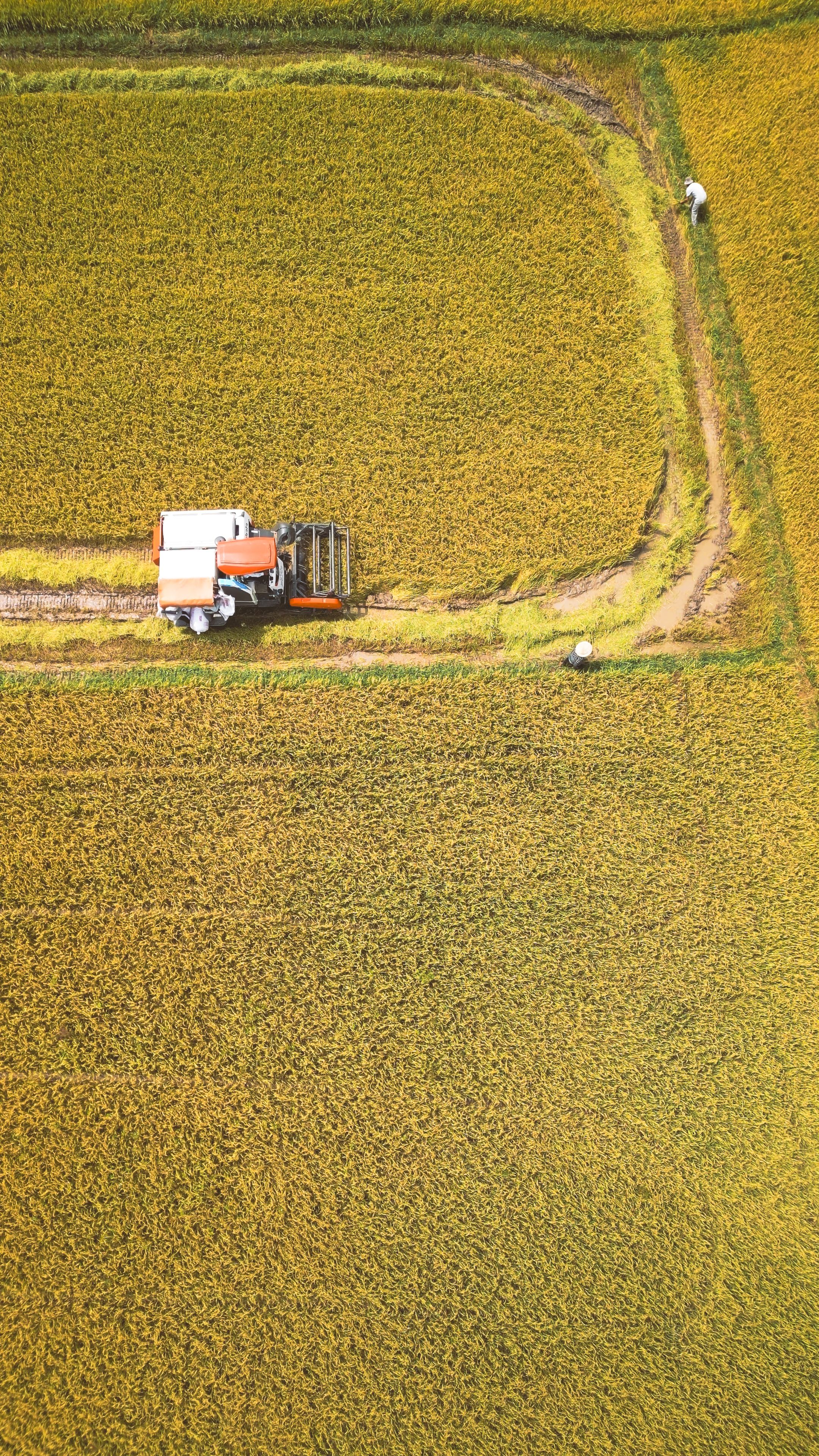 Biofarm insights image