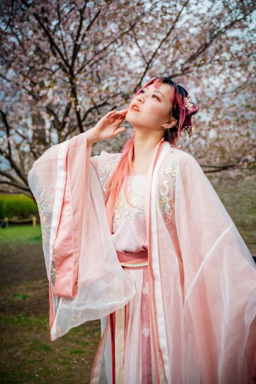Free A woman in a traditional kimono poses gracefully under cherry blossom trees, capturing the essence of spring. Stock Photo