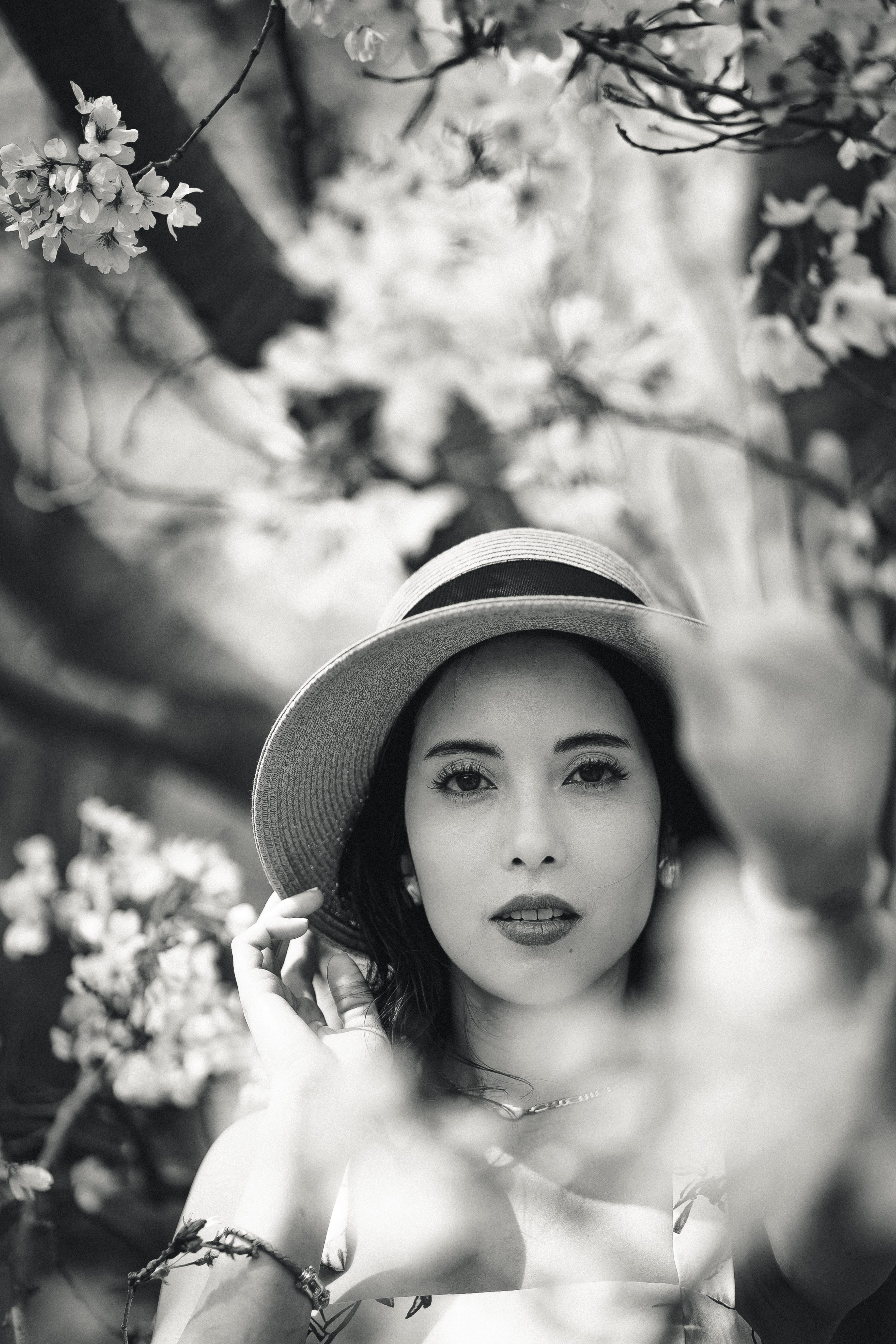 Serene Portrait of a Woman Amidst Cherry Blossoms · Free Stock Photo