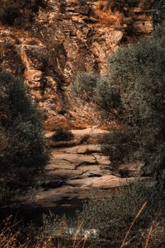 A tranquil scene showcasing rocky terrain surrounded by trees in an autumn setting.