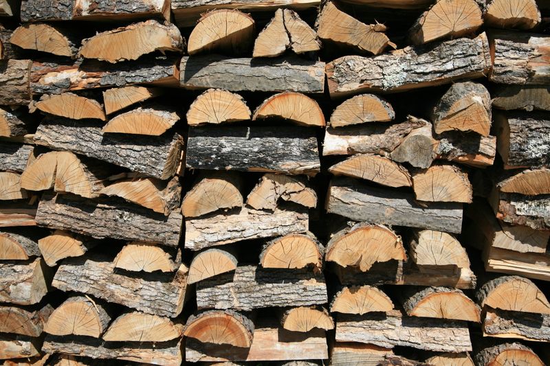 Close-up of stacked firewood in natural sunlight