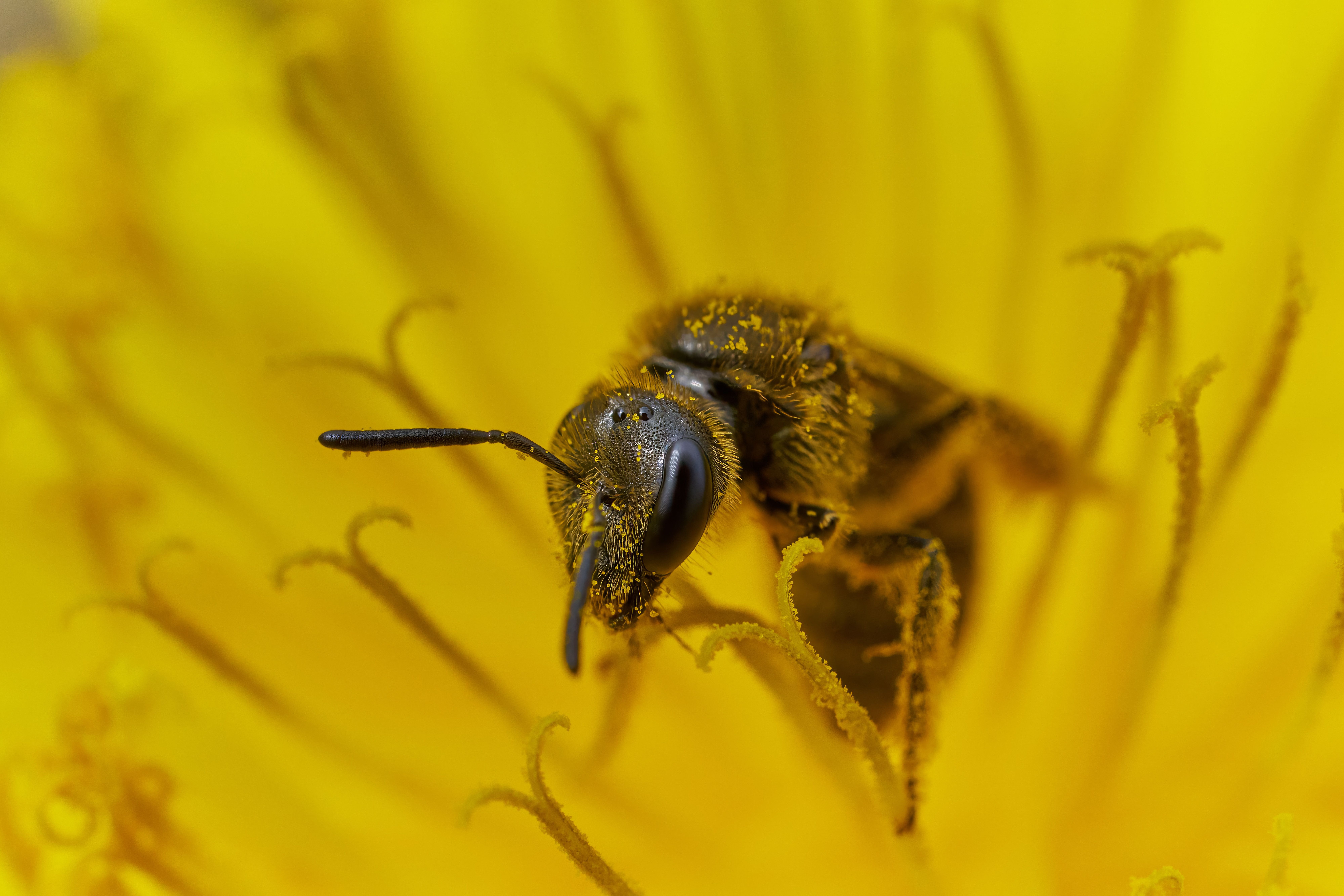 Ark Valley Civics Bee Competition to Send Three Local Students to State — Photo by Tommes Frites on Pexels