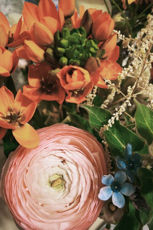 Free A vibrant close-up of a floral arrangement featuring ranunculus and various colorful blooms. Stock Photo