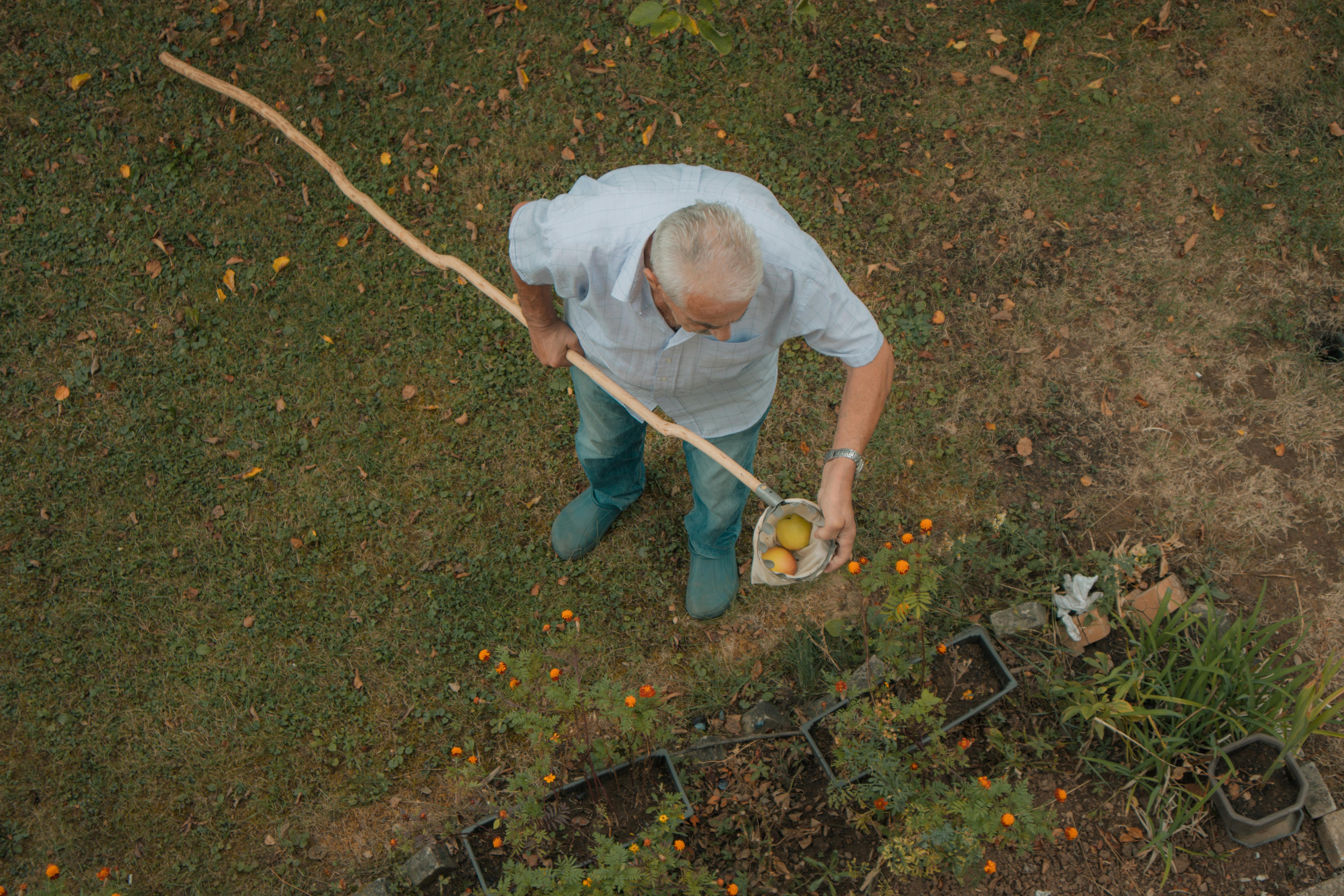 8 DeWalt Gardening Tools You Probably Didn't Realize Existed — Photo by Sandin Redzo on Pexels