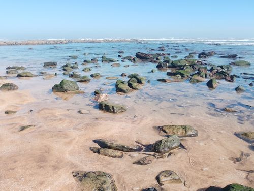Free Explore a serene rocky shoreline at low tide with soft sand and gentle waves under a clear blue sky. Stock Photo